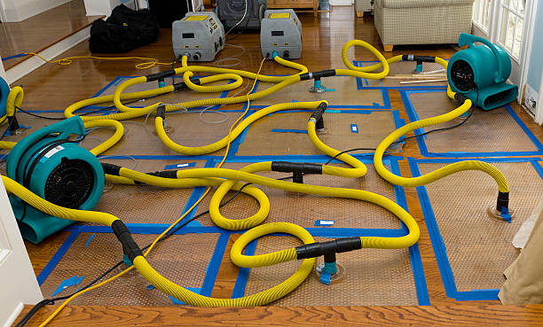 Professional Basement Flood Cleanup technician working in Aguanga, CA